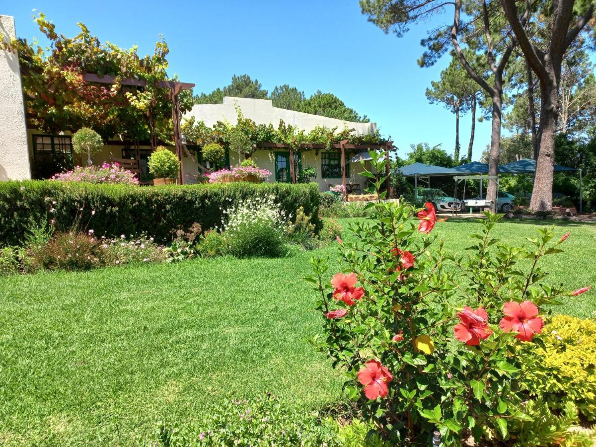 Wine Route 44 * Somerset West